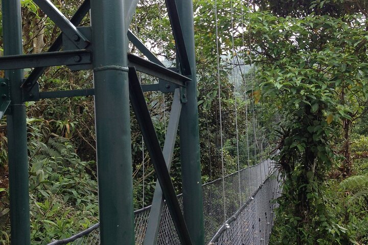 Canopy Tour in The Fabulous Hanging Bridges from San José - Photo 1 of 5